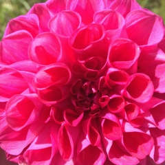 Виорика Благинина, 15.06, Тюмень