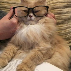 Marina Smirnova, Санкт-Петербург