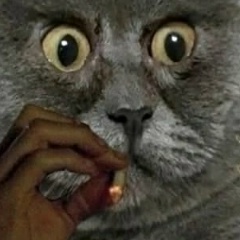 Артур Иванов, Санкт-Петербург