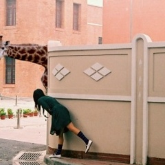 Xriz Antenna, Санкт-Петербург