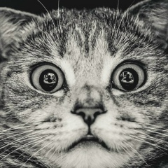 Константин Клименко, 07.11