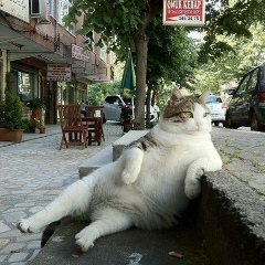 Василий Леванов, 12.05, Москва