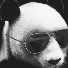 Михаил Овчинников, Воронеж