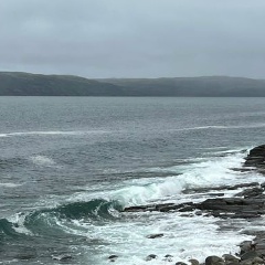 Таня Семенюк, Москва