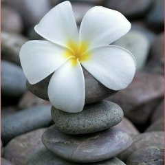 Анна Шубинская, 03.05, Новосибирск