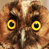 Андрей Олейник, 22.10.1969, Kigali