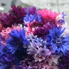 Алеша Папович, 26.03.1983, Новый Уренгой