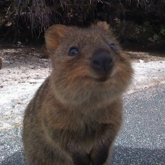 Алексей Чекмарев, 06.06, Москва