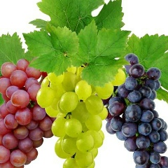 Максим Носенко, 13.01.1985, Кременчуг