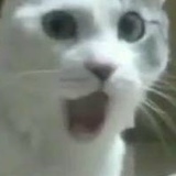 Сергей Братков, 09.03, Одесса