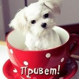 Жазик Бакытжановна, 21.03.1983, Алматы