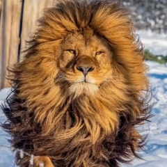 Илья Иванов, 15.08.1985, Санкт-Петербург