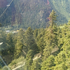 Светлана Маслова