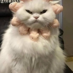 Анастасия Загороднева, 14.11.1996, Липецк