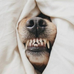 Наташка Михай, 26.01, Волгодонск