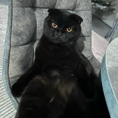 Олег Желтухин, 05.05.1985, Тольятти