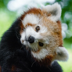 Юлия Смыкова, 20.01