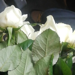 Marjan Muhanbetova, 06.06, Екпенди