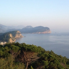 Роман Валеев, Москва