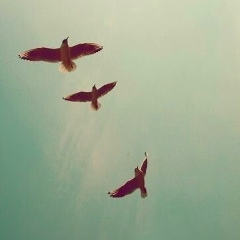 Зулихан Загаева, 09.12.1993, Грозный