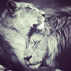 Виктор Яковлев