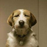 Артём Пронин, 14.12, Барнаул