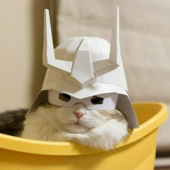 Святослав Іващенко, 23.01