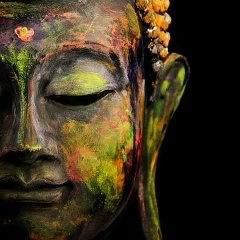 Паша Голландец, 27.01