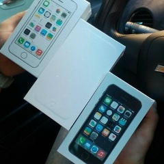 Светлана Жирякова, Павловский Посад