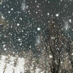 Сергей Сергеев