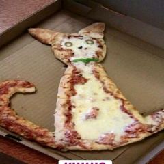 Григорій Чмихало, 22.11.1982, Днепр (Днепропетровск)