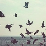 Тамила Зак, 20.09, Елец