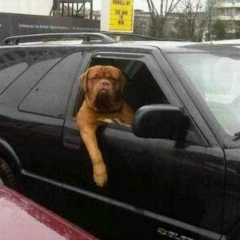 Кирилл Бахмут, 13.01.1941, Днепр (Днепропетровск)