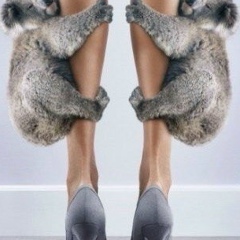 Дина Бабакаева, 17.04, Санкт-Петербург