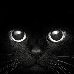 Виталина Ткаченко, Мурманск