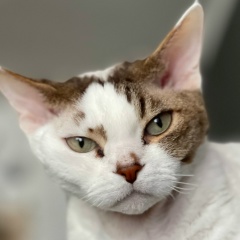 Юля Вреднюля, 30.10.1976, Мурманск