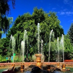 Динара Мусина, 31.10, Алматы