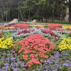 Жулдуз Исенова, 24.06.1984, Нагайбакский