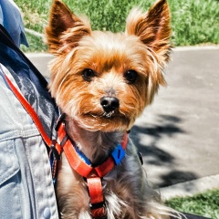 Михаил Черепанов, 08.08.1984, Москва