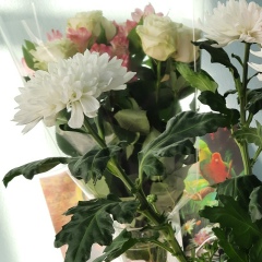 Юленька Сотникова, 16.06, Санкт-Петербург