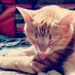 Галина Майборода, 05.10