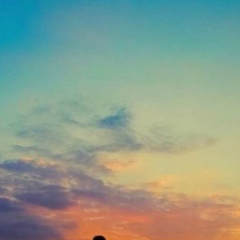 Timur Minikhanov, 14.01.1987, Санкт-Петербург