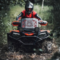 Владислав Тябин, Владимир