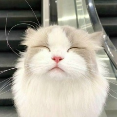 Kat Kompaniets, 02.09, Севастополь