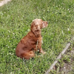 Наталья Ткачева, 14.06.1979, Вязьма