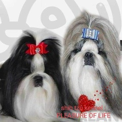 Любовь Холодова, 17.02, Донецк