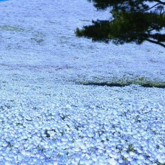 Nabil Idrissi, 27.02.1979, Fès