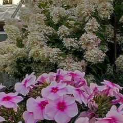 Наташа Кернякевич, 25.03.1970, Северодвинск