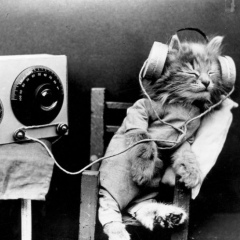 Серега Тынескин, 21.07