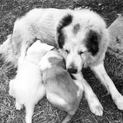 Kamila Kamila, 22.11, Алматы